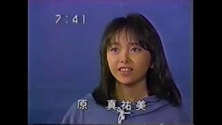 ペルシャの涙 ホントにかわいい