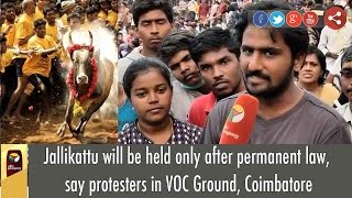 Jallikattu will be held only after permanent law, say protesters in VOC Ground, Coiputhur