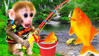 🐵Monkey baby Bi Bon so cute go fishing fish and eat giant sausage | Funny Animals video