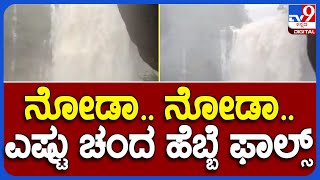 Hebbe Falls : ಧಾರಾಕಾರ ಮಳೆಗೆ ಧುಮ್ಮಿಕ್ಕುತ್ತಿರುವ ಹೆಬ್ಬೆ ಫಾಲ್ಸ್. |#TV9B