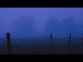 my head is empty, miranda rain - a way out
