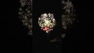 2022年1月8日日置市日吉町HANABI