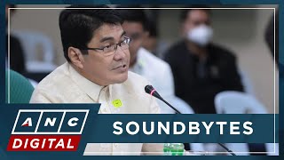 WATCH: DSWD Sec. Erwin Tulfo responds to issues on citizenship, libel conviction in CA hearing | ANC