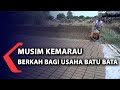 Musim Kemarau Berkah Bagi Usaha Batu Bata