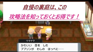 【ポケモン　ダイパリメイク】自慢の裏庭攻略法！この方法を知っておくと楽になります！【ポケモンBDSP】【ブリリアントダイヤモンド】【シャイニングパール】