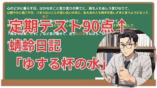 【ゆする杯の水】(蜻蛉日記)徹底解説！(テスト対策・現代語訳・あらすじ・予想問題)