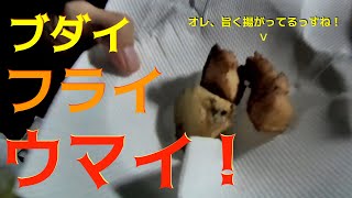 魚突きキャンプBBQパーティー続編　突いたブダイを唐揚げの味は？【3話】