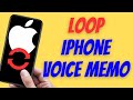 How To Loop iPhone Voice Memo (Quick and Easy)