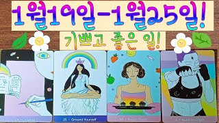 🌈✨[타로]✨ 2025년 1월19일~25일  주간타로! 기쁘고 좋은 일! 📖🌳🍬