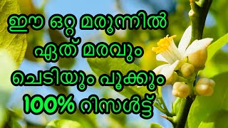 കൃഷിയിൽ നല്ല വിളവ് ലഭിക്കാൻ 9895768008-9846422320