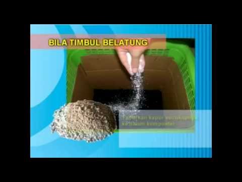 Membuat Kompos Dari Sampah Rumah Tangga Menggunakan Metode Takakura ...