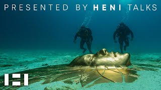 Damien Hirst: Treasures from the Wreck of the Unbelievable | Presented by HENI Talks