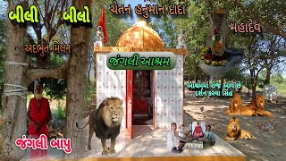 ગિરનાર ની ગોદમા⛰️ //સવાજ સાથે રહેતા જંગલી બાપુ  //junagadh //Jangli Aasram🛖 //