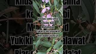 Khusus yang cinta kepada Nabi Muhammad SAW