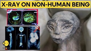 Mexican UFO expert conducts x-rays on 'non-human' beings presented at Congress | WION Originals