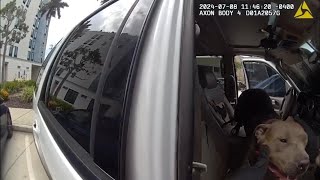 Bodycam video of dog rescued from hot car
