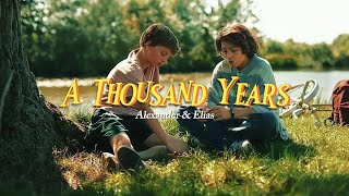 alexander \u0026 elias - a thousand years | young hearts