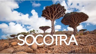 The Socotra Island - Alien World Adventure