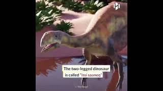 Scientists discover a dinosaur that lived on Greenland 214 million years ago.