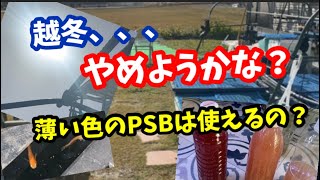 薄い色のPSB！効果はあるのか？【メダカ】