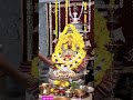 chamtkari maa aaj 20 11 23 ka manokamana phool girte hue matarani mata padmavat heritage