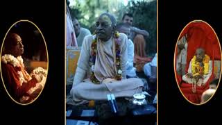 Prabhupada 0281 मनुष्य पशु हो, तर विवेकशील पशु