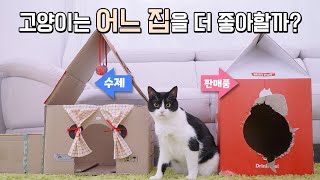 고양이에게 집을 새로 만들어줬습니다 | 고양이산책