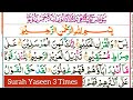 Surah Yaseen 3 Times || Beautiful Recitation of Quran #surahyaseen