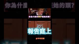 好像無法反駁 #meme #梗圖 #迷因 #椅子 #貓咪 #cat #宇哥梗圖 #桌子 #笑話  #shorts