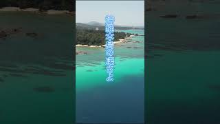 許田・道の駅から（4K Drone） #shorts #okinawa #沖縄 #海 #島