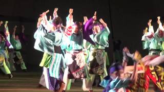 原宿スーパーよさこい2015 ～ Summer Zipper