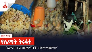 ወደገጠር-  \