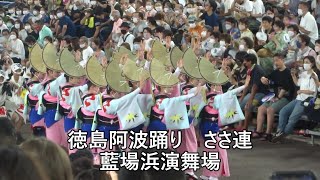 地を這うような男踊り・徳島阿波踊り：ささ連（2022年8月13日　藍場浜演舞場にて）