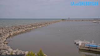 Visit Sheboygan Live Beach Camera