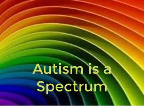 Parenting High-Functioning Autistic Children Parenting High-Functioning Autistic Children