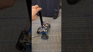 CRAZY CAR PENDULUM