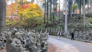 雲辺寺（四国霊場第66番）と紅葉