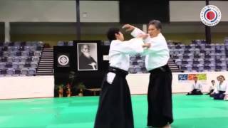 Aikikai Australia 50th Anniversary Seminar (Part 3) - Shihan Philip Lee (6th Dan)