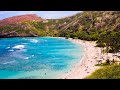 North Shore and Hanauma Bay Tour in Oahu, Hawaii