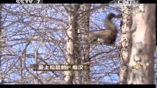 20150320 致富经  爱上松鼠的“痴汉”