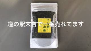 お茶 贈り物に最適【うんめ～お茶】 美味しいお茶は松島屋 曽於市大隅町