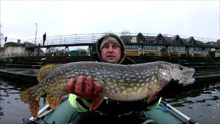 Co można złowić na martwą rybkę? / What can you catch? Dead bait fishing for pike