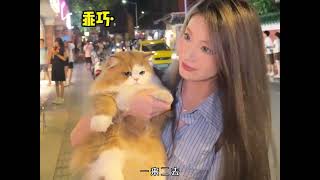 猫界公子哥梅西，一只喜欢逛奢侈品店的社牛猫咪！