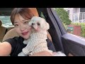 vlog 은조미위크5 재택근무 화장품 테스트 호호불똥 또 마라탕 고맥