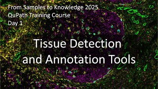 Tissue Detection and Manual Annotations