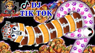 Cacing Besar Alaska DJ Tik Tok || Worms Zone Tik Tok
