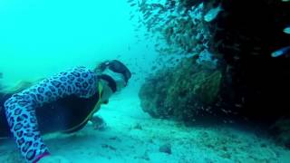 Freediving | Nemberala Beach Resort | Waterways Surf Adventures | Surf Travel