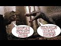 If Dinosaurs Could Talk in Jurassic Park 3