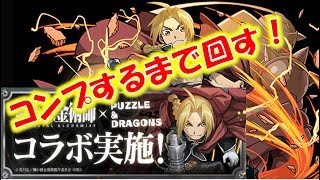 【パズドラ】鋼の錬金術師コラボ　コンプするまで回した結果。。。