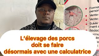 L’élevage doit se faire avec une calculatrice parlons rentabilité de élevage des porcs en Afrique